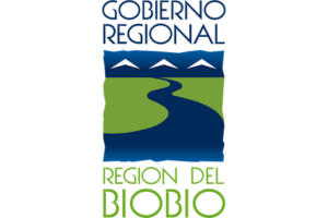 Logo Gobierno Regional